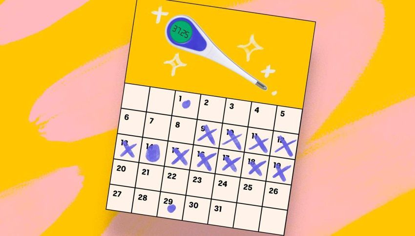 Manfaat Penggunaan Aplikasi Kalender Siklus Menstruasi